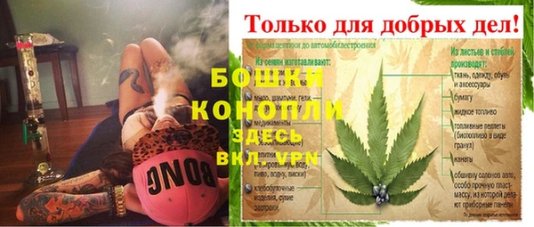 МДПВ Алексеевка