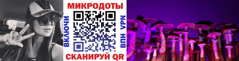 закладки  Железногорск-Илимский  Псилоцибиновые грибы прущие грибы 