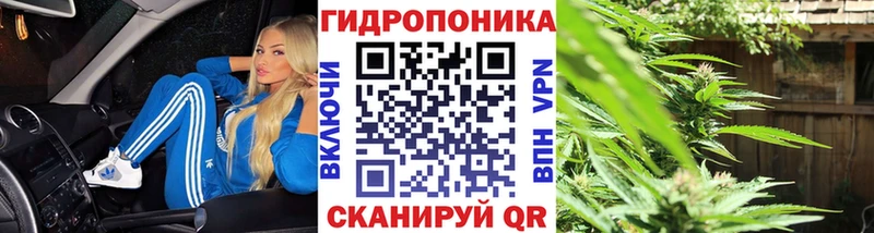 где купить наркоту  Железногорск-Илимский  Каннабис SATIVA & INDICA 